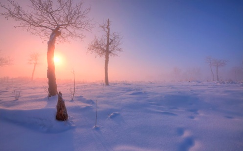 landscape, foggy, winter, snow, Alberta, rural, pasture, frozen, Dan Jurak,