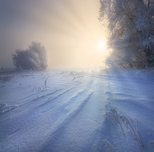 landscape, winter, sunrise, cold, Alberta, prairie, frost, snow, photographic journey, Dan Jurak,